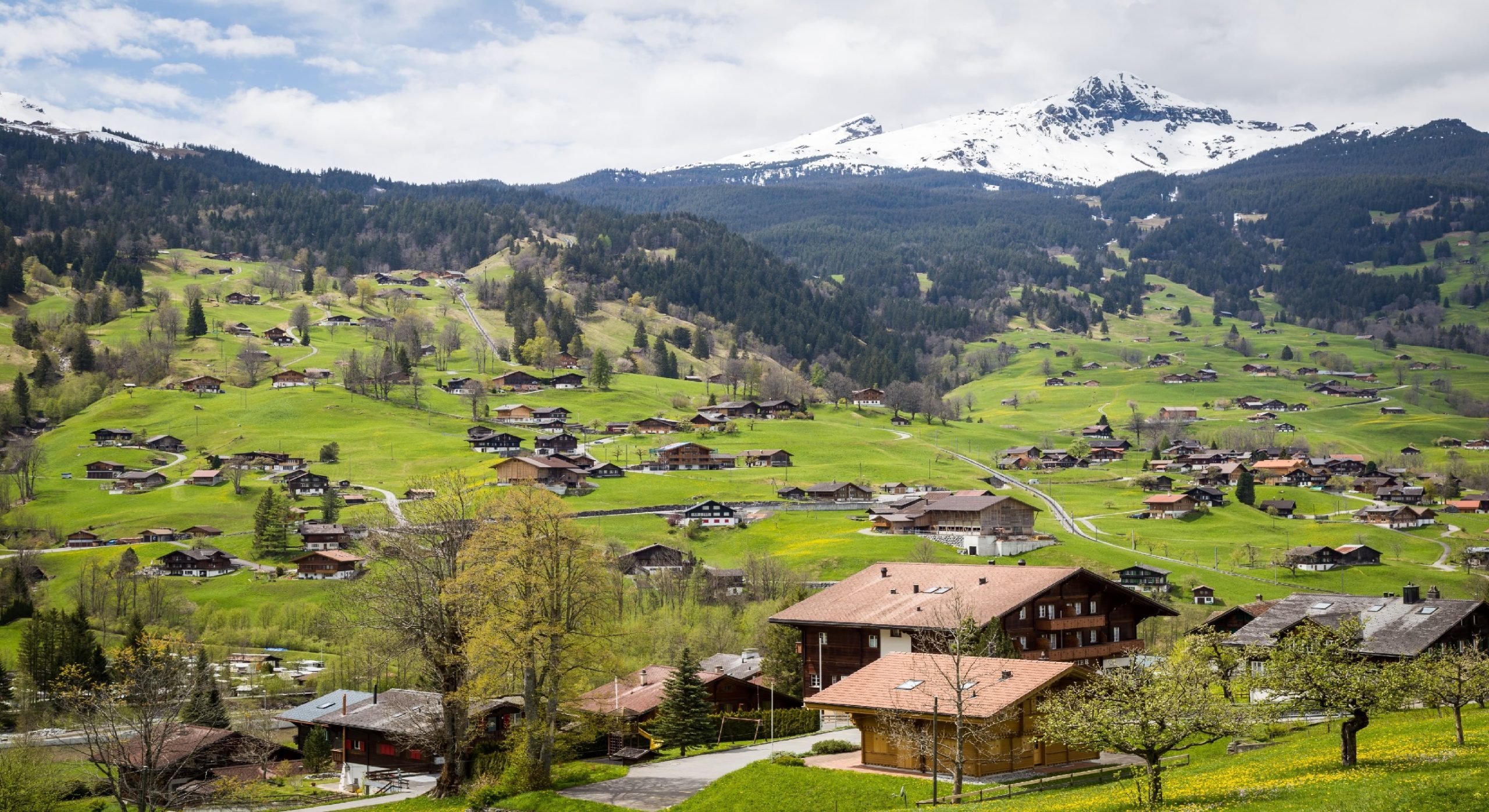 gute Lebensversicherung Schweiz 